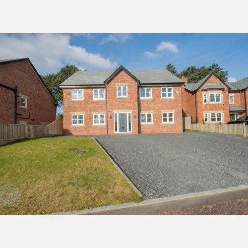 Senior Supply Chain Manager